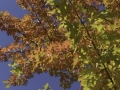 D8C_8402