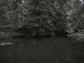 D8C_6538